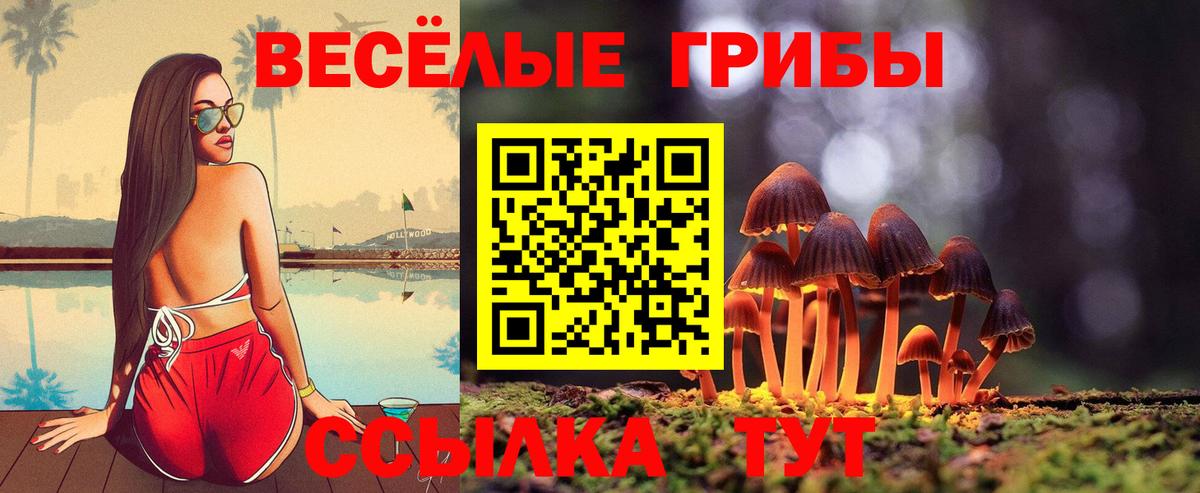 Псилоцибиновые грибы Psilocybe  магазин продажи наркотиков  Вход с VPN  Апрелевка  Галлюциногенные грибы Psilocybine cubensis 