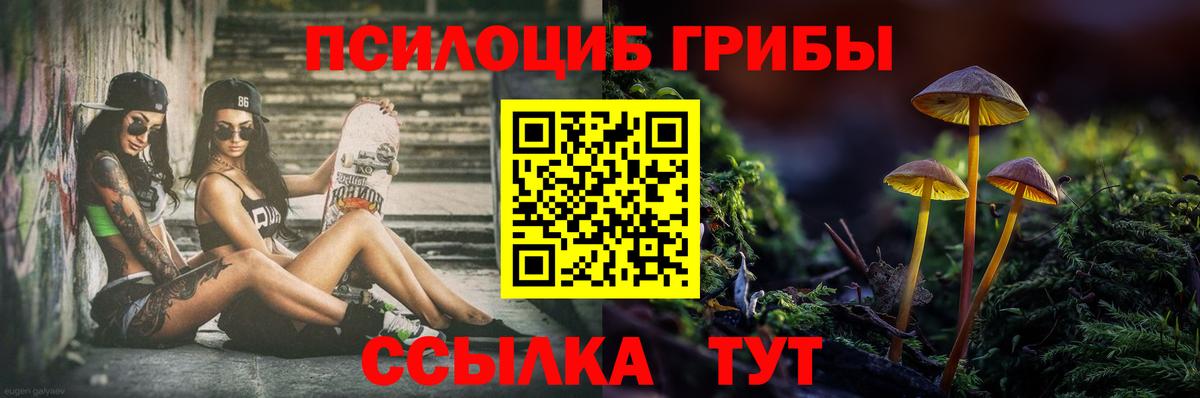 Псилоцибиновые грибы Psilocybe Апрелевка